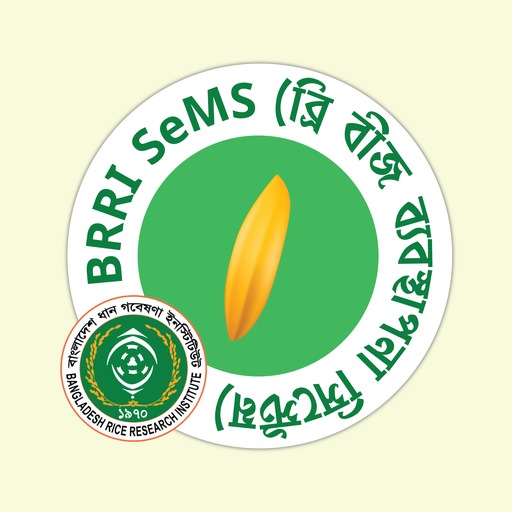 BRRI Seed